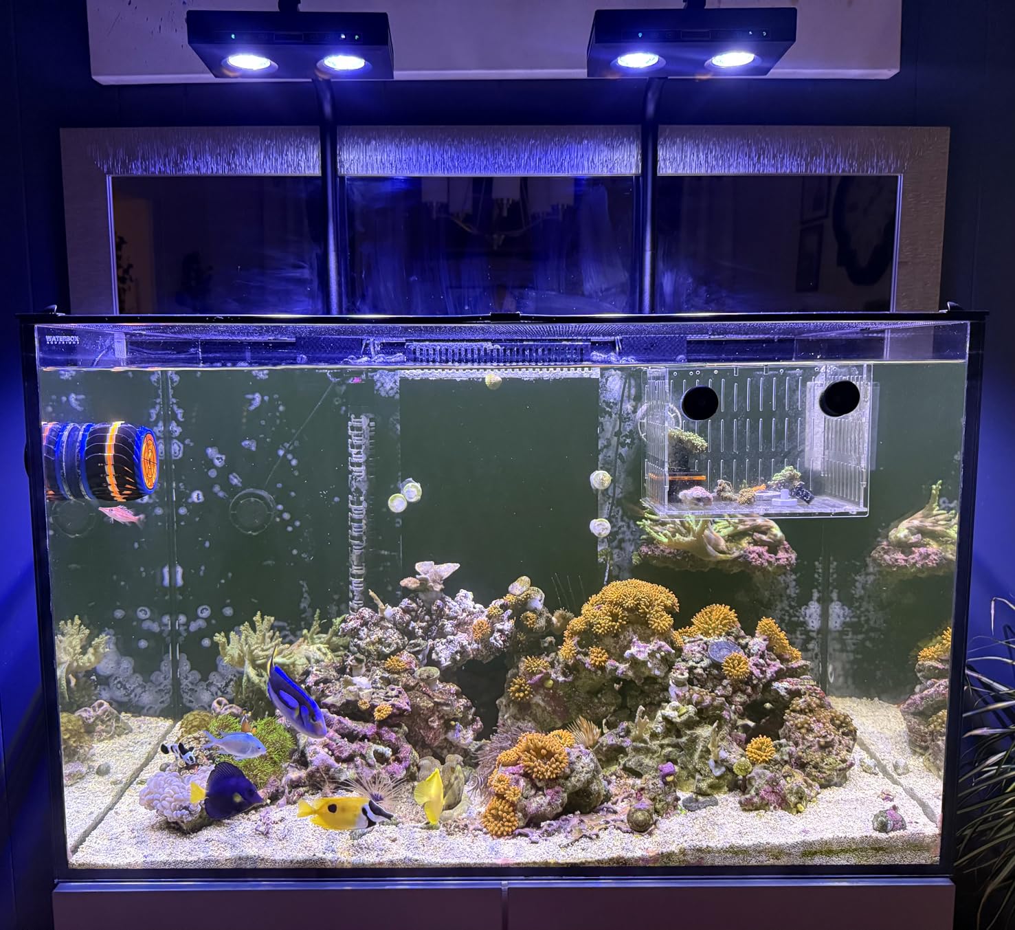 Aqua Marine Tank - Lámpara LED de Alta Potencia para