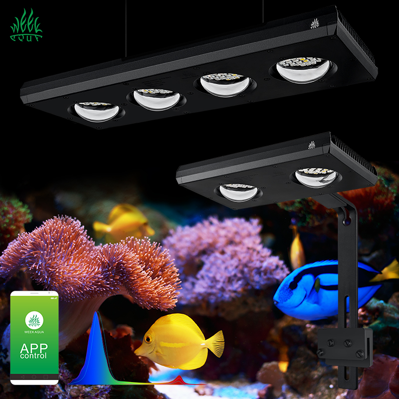 Aquarium Blue Marine - ZXY gran oferta WEEKAQUA Z250 Z400sea