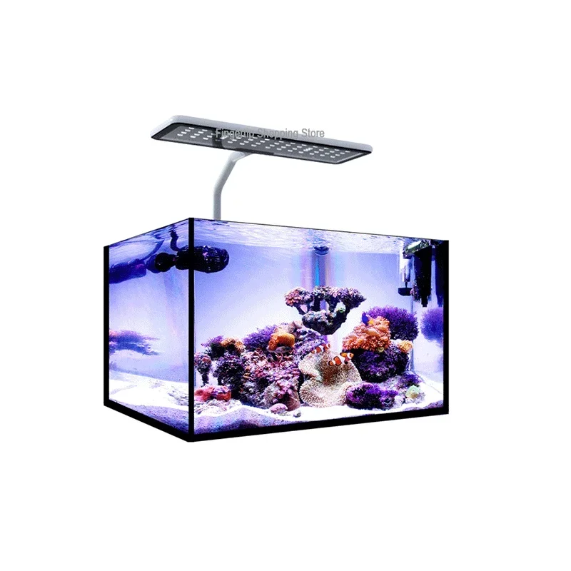 MicMol G2 Aqua CC Unboxing Aqu - Aqua Marine Tank reseña y precio