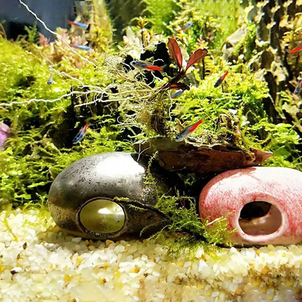 1 unidad-250g de cristales nat - Aquarium Marine Sand reseña y precio