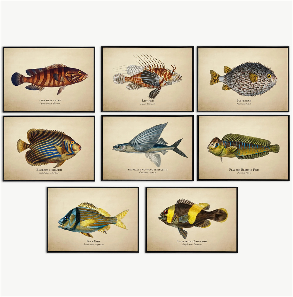 Cuadros Vintage de Peces Tropi - Marine Aquarium Home reseña y precio