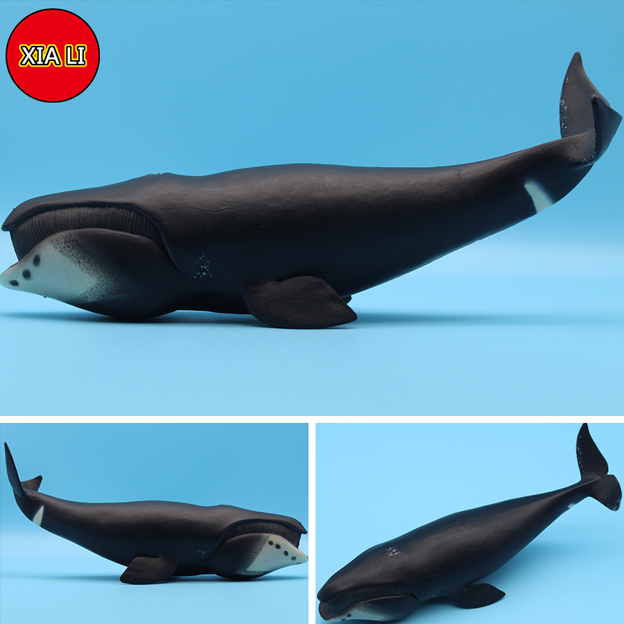 Figuras de Acción de Animales  - Aquarium Blue Marine reseña y precio