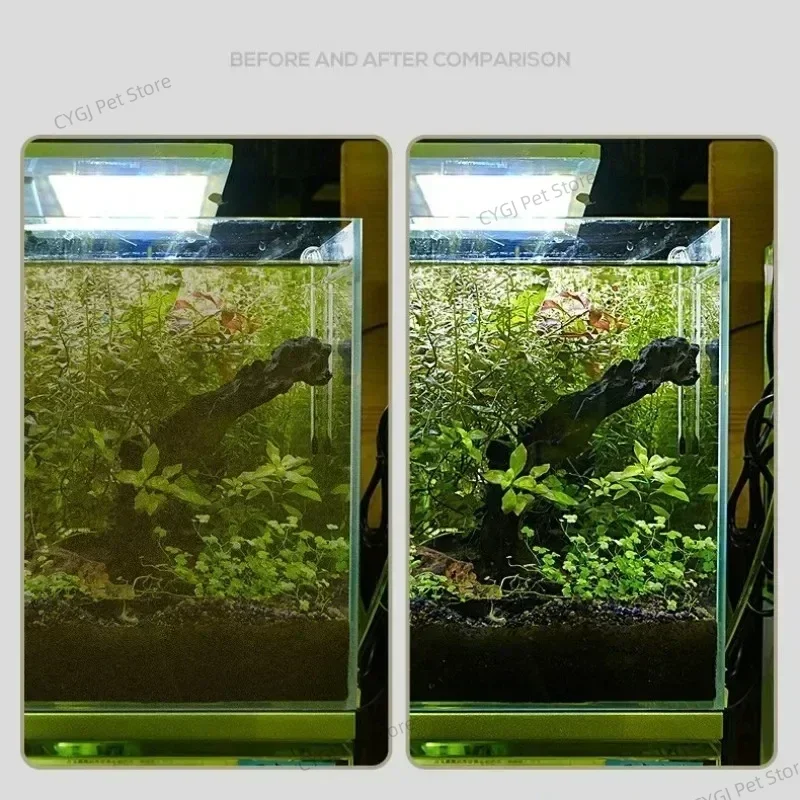 Herramienta de limpieza de pec - Aquarium Marine Sand reseña y precio