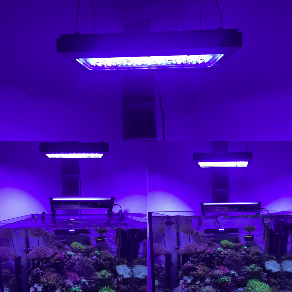 Luz LED para Acuario Marino A8 - Aquarium Blue Marine reseña y precio