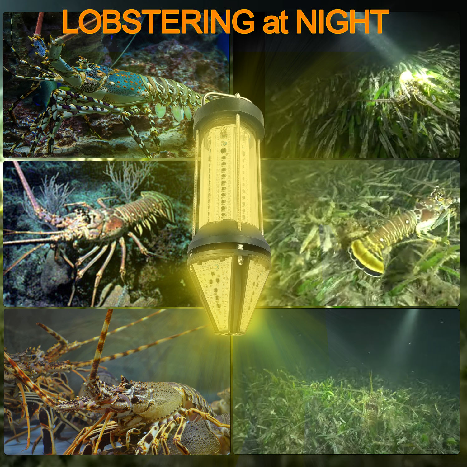 Luz de Pesca Submarina para Ex - Aquarium Blue Marine reseña y precio