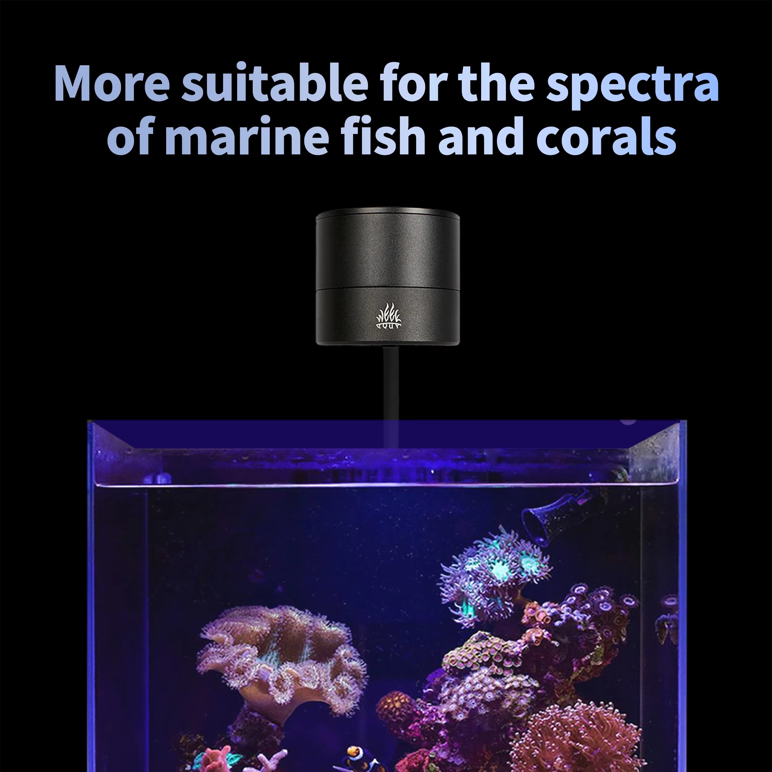 WEEK AQUA Fabricantes de Lámpa - Aquarium Blue Marine reseña y precio