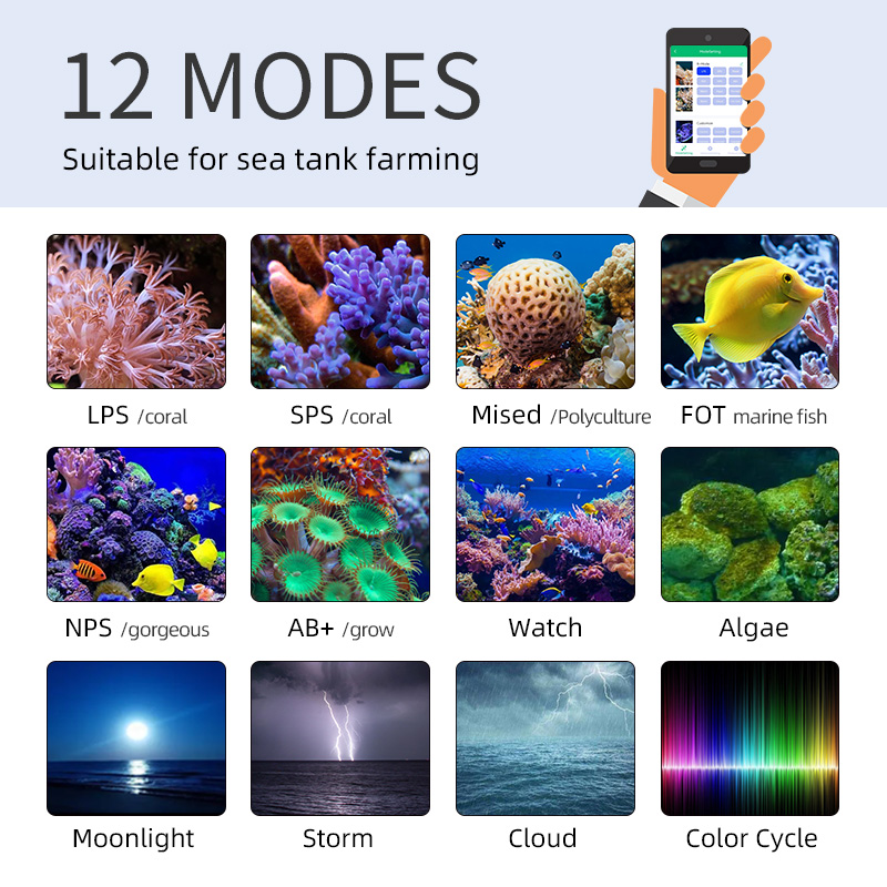 ZXY gran oferta WEEKAQUA Z250  - Aquarium Blue Marine reseña y precio