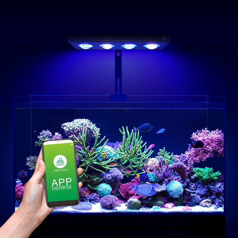 ZXY gran oferta WEEKAQUA Z250  - Aquarium Blue Marine reseña y precio