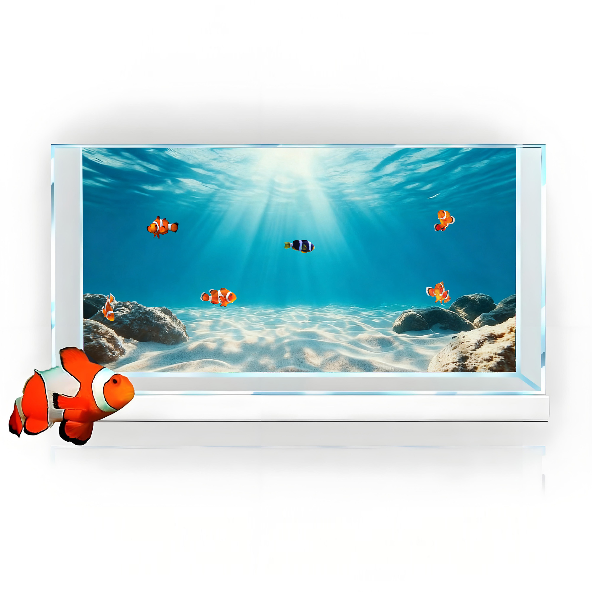 Pintura de Fondo para Acuario  - Aquarium Marine Sand reseña y precio