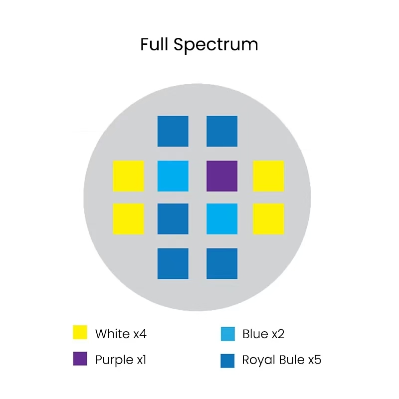 Spectra Aqua Knight V2 36W esp - Aqua Marine Tank reseña y precio