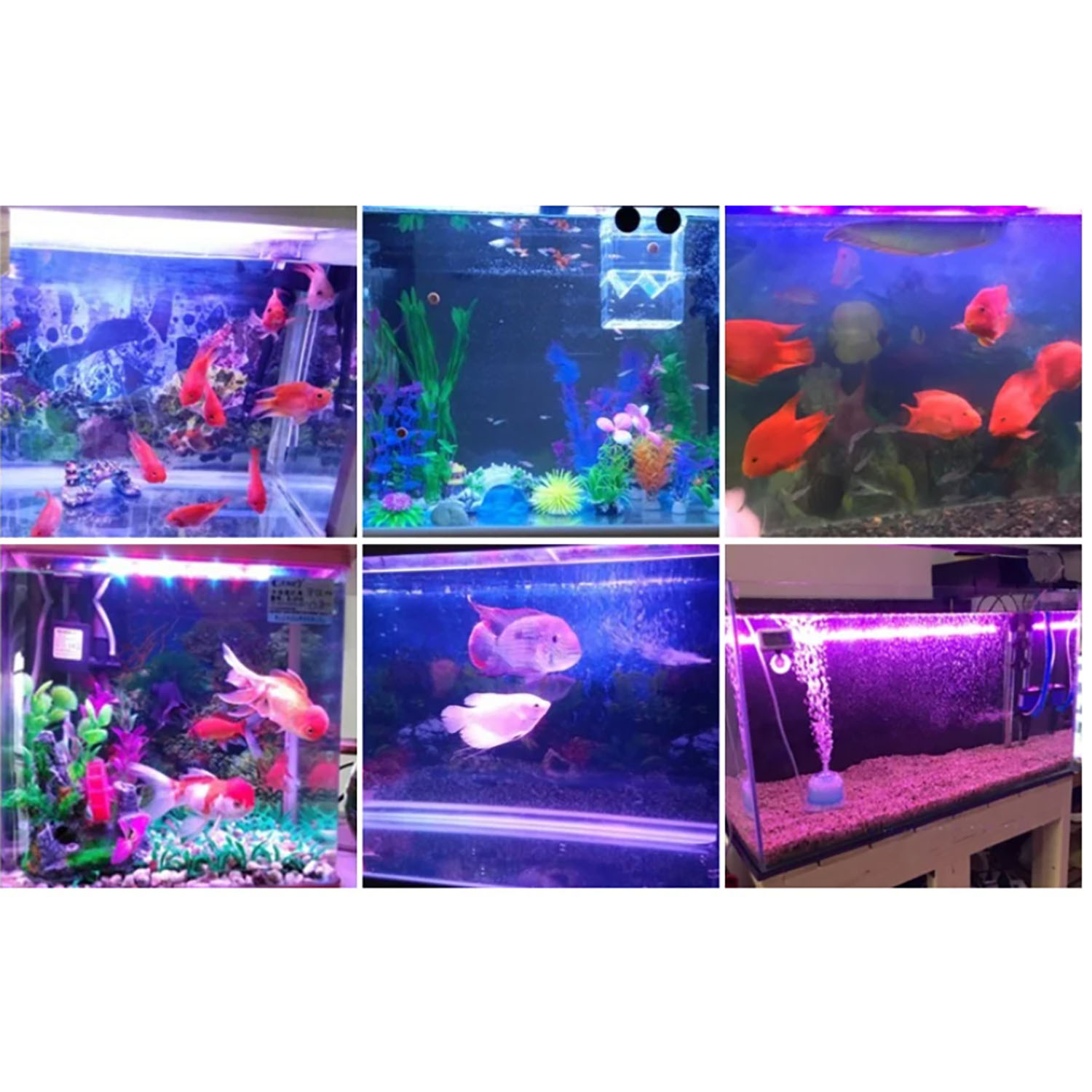 Iluminación LED para Acuarios  - Aquarium Blue Marine reseña y precio
