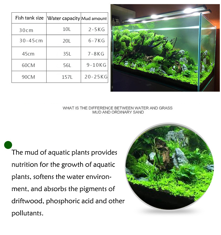 Semillas de plantas de Acuario - Aquarium Marine Sand reseña y precio