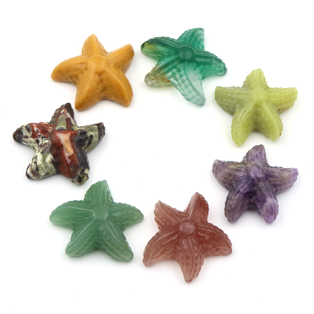 Estatua con forma de estrella  - Marine Aquarium & Regional Centre reseña y precio