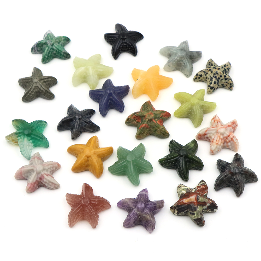 Estatua con forma de estrella  - Marine Aquarium & Regional Centre reseña y precio