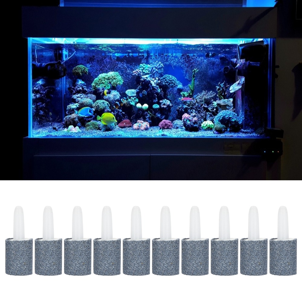 Juego de 10 Uds. De piedra de  - Aquarium Marine Sand reseña y precio