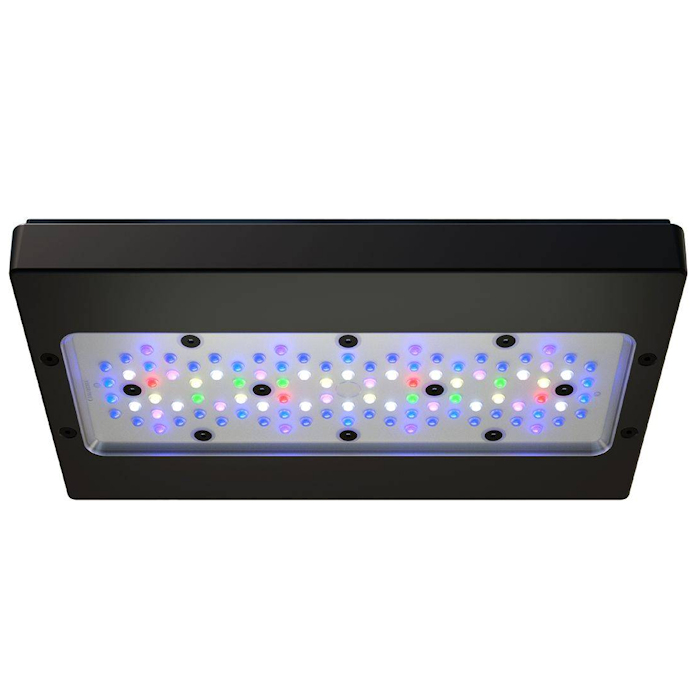 Lámpara LED Marina para Acuari - Aquarium Blue Marine reseña y precio