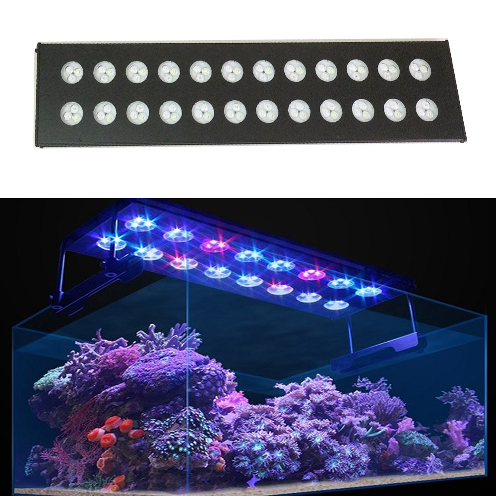 Spectra Aqua Helios WiFi progr - Aqua Marine Tank reseña y precio