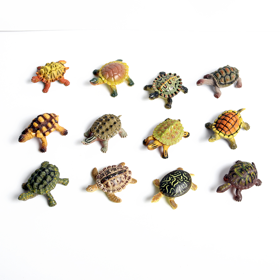 Miniaturas realistas para deco - Marine Aquarium & Regional Centre reseña y precio