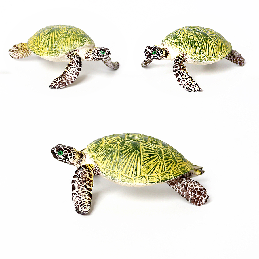 Miniaturas realistas para deco - Marine Aquarium & Regional Centre reseña y precio